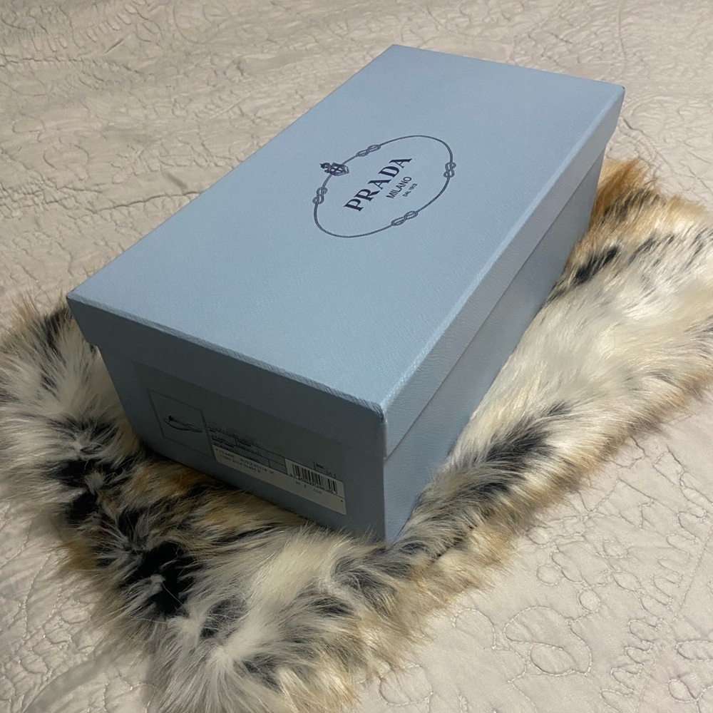 Prada sky Blue shoe Box 12x6.5x 4